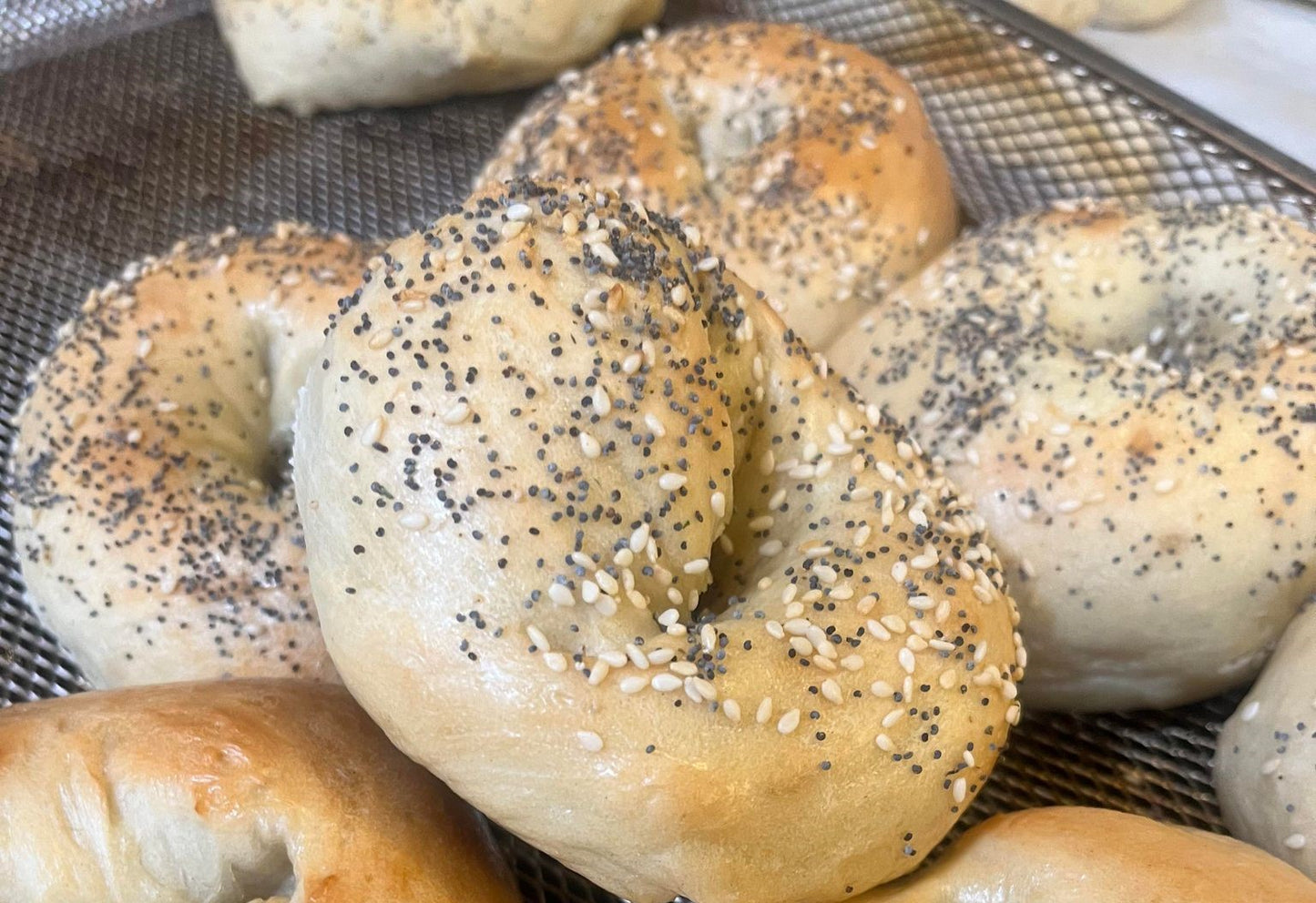 Sourdough Bagels