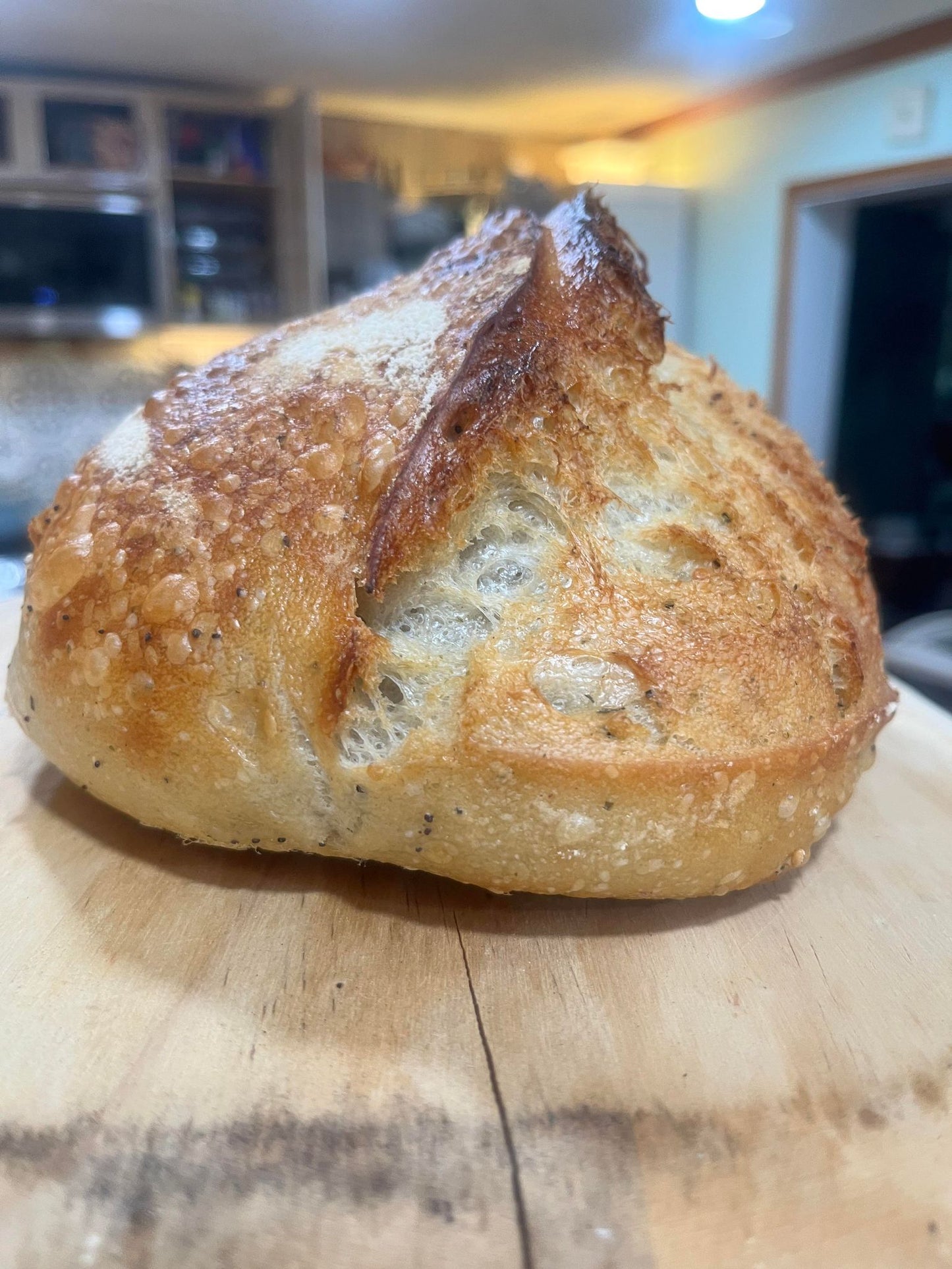 Sourdough Loaves