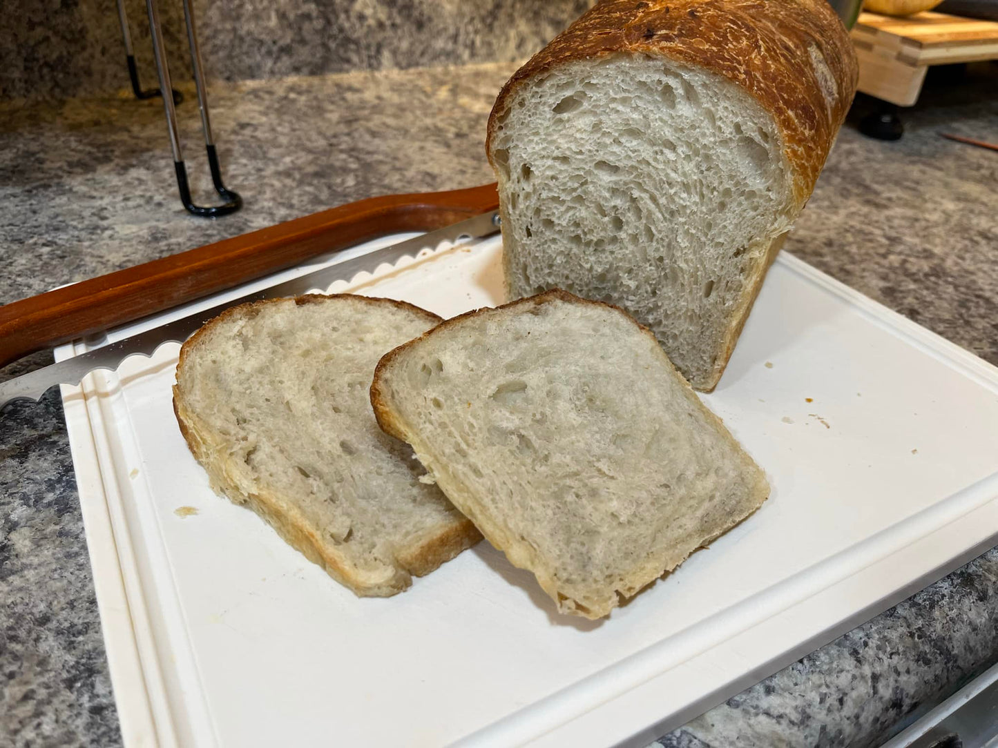 Sourdough Loaves