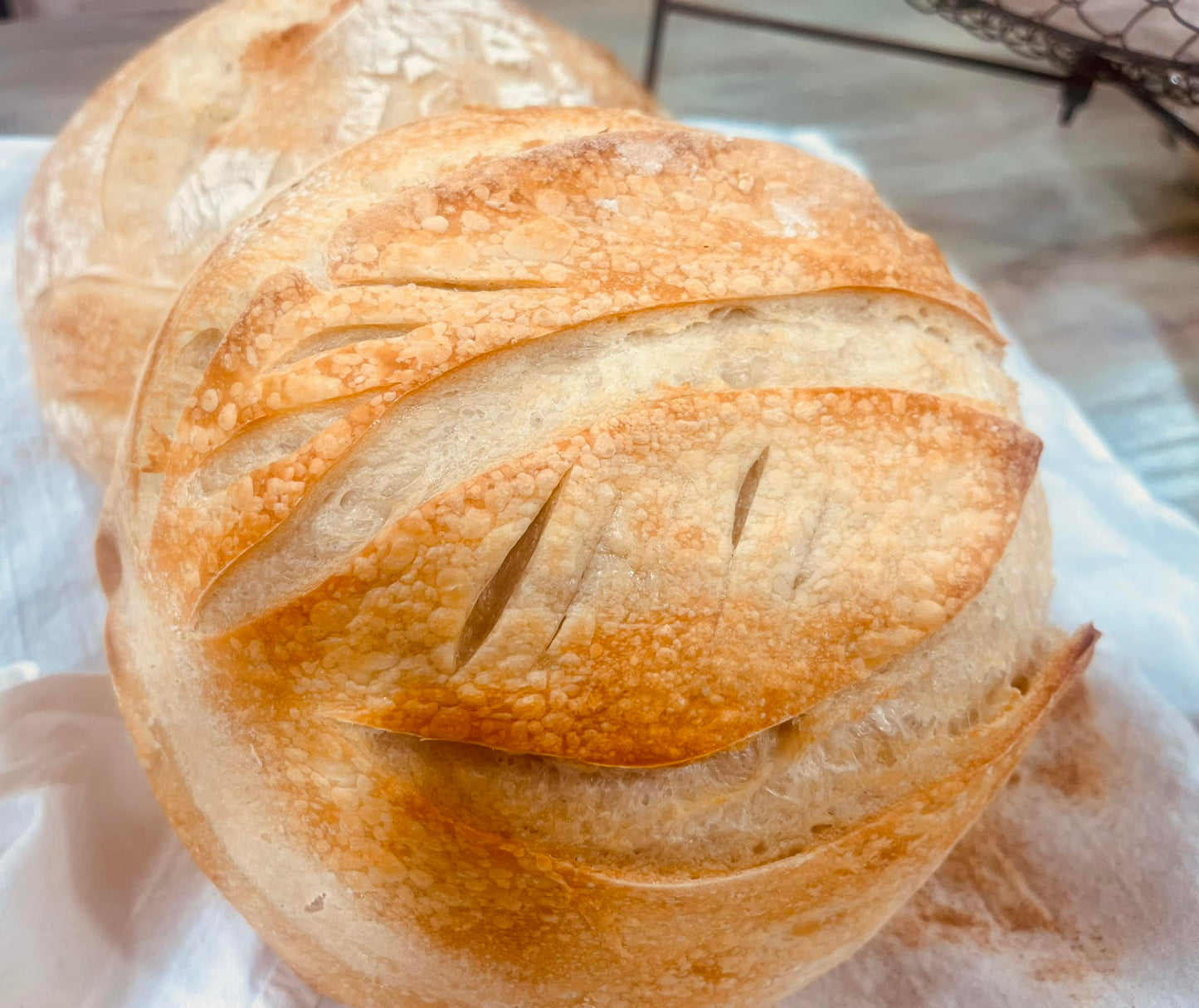 Sourdough Loaves