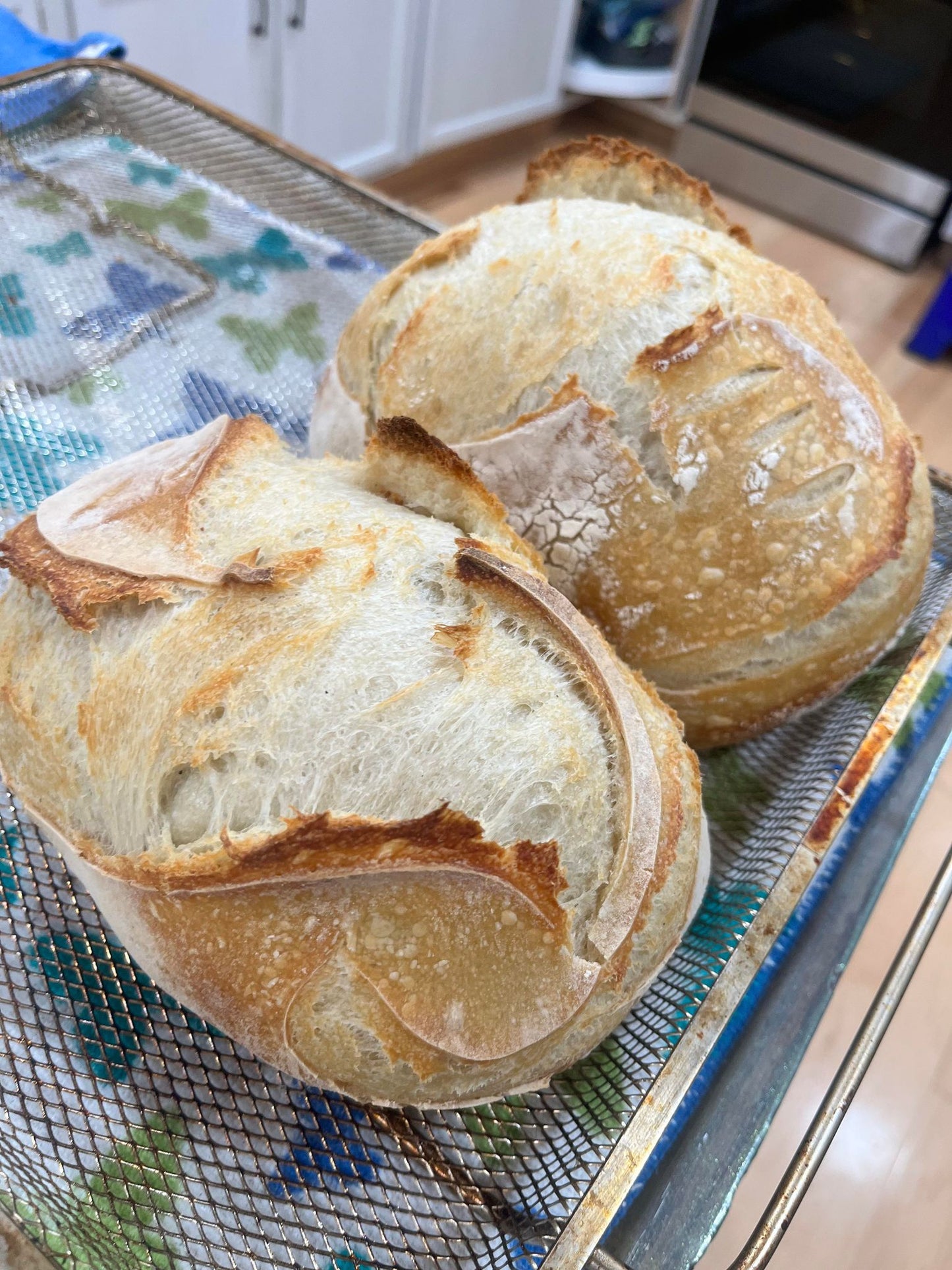 Sourdough Loaves